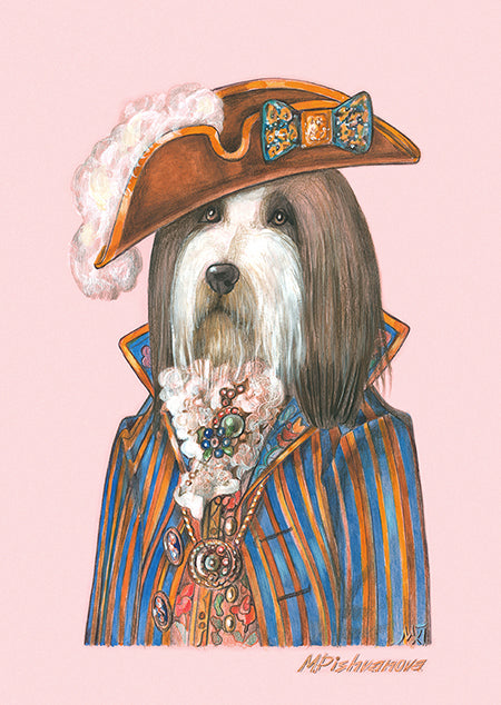 Bearded Collie (Monsieur)