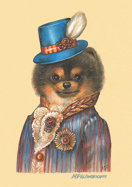 Dandy Pomeranian