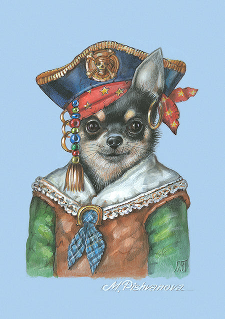 The Pirate (Chihuahua)