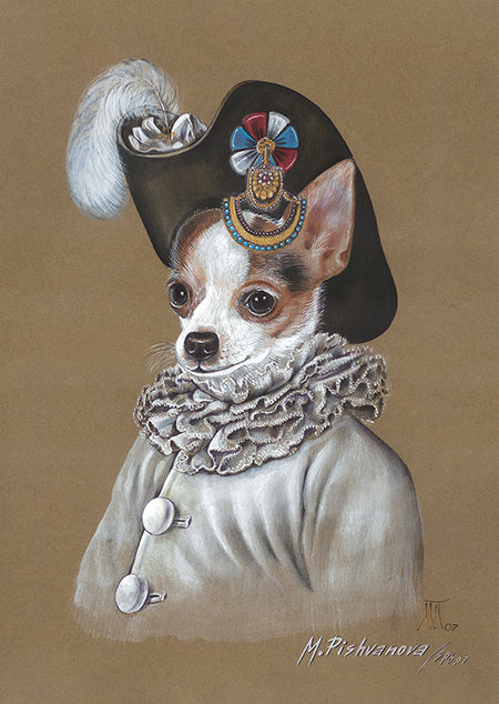 Der Pierrot (Chihuahua)