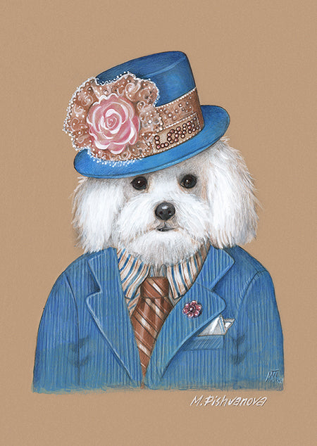 The Dandy in Love (Maltese)