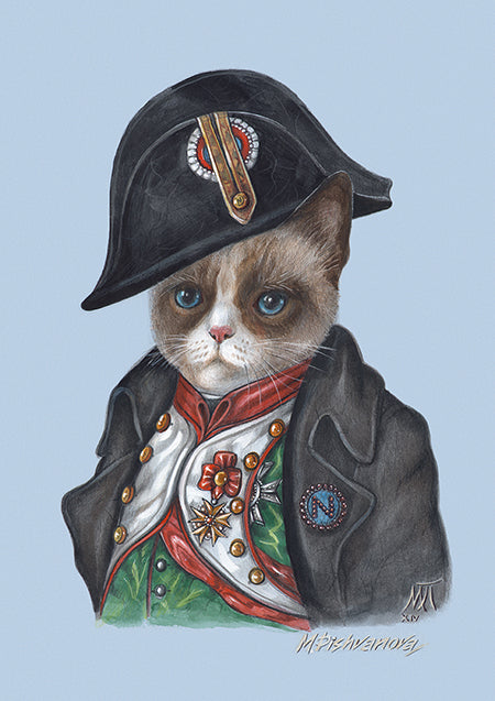 Die Napoleon Katze
