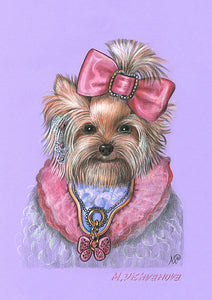 Yorkie in Pink